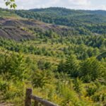 An Ohio community is negotiating to buy 850 acres from a coal company; if successful, the public forest could link about 74,000 acres between Wayne National Forest and Strouds Run State Park