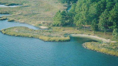 In 2002, concrete rubble from Baltimore’s demolished Memorial Stadium was reused in a Maryland living shoreline; the project restored 400 feet of coast and created two acres of tidal wetlands