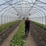 In 2010, a financially ruined couple started farming on leased land; after hitting 0,000 on one-third acre in New York, their farm now pushes nearly 0,000 a year from mostly 2.5 acres