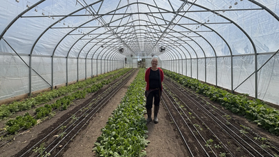 In 2010, a financially ruined couple started farming on leased land; after hitting $100,000 on one-third acre in New York, their farm now pushes nearly $700,000 a year from mostly 2.5 acres