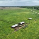 Louisiana neighbours fought over a 70-foot strip of land; after signs, bright lights and even a dead cow appeared near the boundary, an appeals court upheld ,000 in damages and an injunction