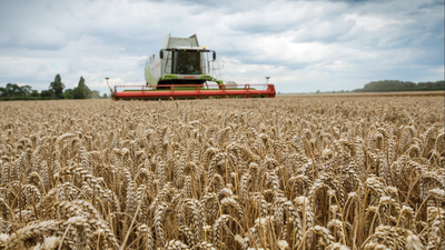 In 2002, a 3.5km sea wall was breached in five places at a 283-hectare Essex arable farm; seawater returned to the land, creating new habitat and helping double saltmarsh across the Greater Thames estuary