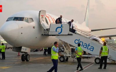 Flydubai Emergency Landing: Flydubai flight incident: What we know about the pilot under investigation