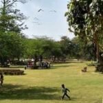 Delhi Gang Rape: ‘Asif bhai gun nikal’: Delhi gang-rape victim recounts chilling birthday ordeal in park, claims men held knife to her neck | Delhi News
