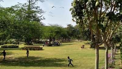 Delhi Gang Rape: ‘Asif bhai gun nikal’: Delhi gang-rape victim recounts chilling birthday ordeal in park, claims men held knife to her neck | Delhi News