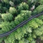 A .5M Portland power project could remove 400 trees from Forest Park while powering over 55,000 homes; the deal has split conservation groups