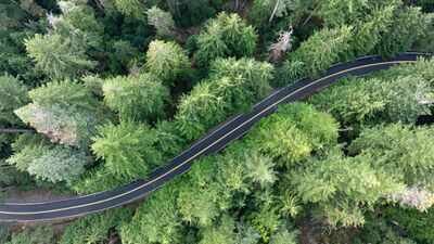 A .5M Portland power project could remove 400 trees from Forest Park while powering over 55,000 homes; the deal has split conservation groups