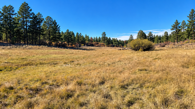 A Colorado family has protected a 684-acre ranch that stayed in the same family for 90 years; its old cabin once served as a ranger and postmaster station | World News