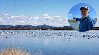 A farmer turned 70 acres of his Oregon barley farm into a wetland; now it hosts 140 bird species and endangered fish | World News