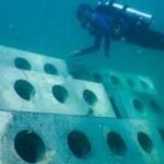 In 1998, researchers built 12 reefs off Miami Beach using limestone, concrete and concrete mixed with waste tyre chips; divers later counted 97,826 fish from 146 species