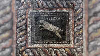 Around 1,800 years ago, a Roman household decorated its floor with a cat named ‘Emerald’ and a dog named ‘Ocean’; archaeologists have now uncovered the mosaic