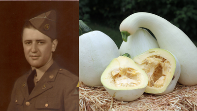 A Pennsylvania teacher preserved his family’s white pumpkin for nearly 40 years; the Thanksgiving heirloom is now grown by gardeners | World News