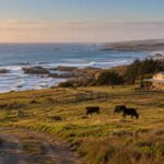 A Texas family held this coastal ranch for generations; now 2,500 acres have become part of a 17,500-acre wildlife refuge﻿ | World News