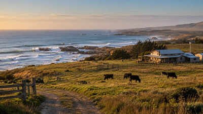 A Texas family held this coastal ranch for generations; now 2,500 acres have become part of a 17,500-acre wildlife refuge﻿ | World News
