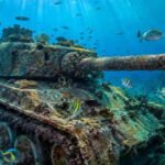 In 2010, Thailand sank 25 retired battle tanks into the Gulf to rebuild fishing grounds; 9 years later, researchers found 53 fish species