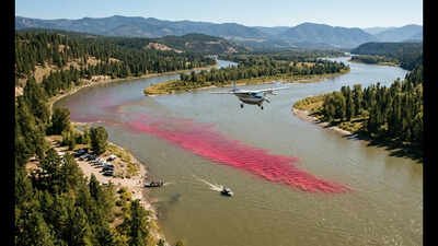 In 2017, USGS released 72.57 kg of red dye into Idaho’s Kootenai River in 90 seconds; aircraft 1,000 metres above mapped the plume in 0.5-metre pixels to study river dispersion