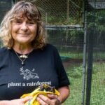 An Australian woman bought cleared sugarcane land and planted trees; 10 years later, 119,000 trees transformed it into a rainforest home to flying-foxes | World News