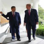 America laughs as Trump pivots from ‘Kung Flu’ to hug Xi’s panda diplomacy