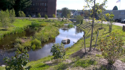 For half a century, Massachusetts’ Mill Brook ran beneath a downtown parking lot; Athol has now uncovered it, created 12,000 sq ft of wetlands and turned 53,000 sq ft of pavement into vegetation
