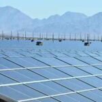 Belgian quarry uses 3,240 solar panels and sheep in a 3.3-hectare agrivoltaic project and produce clean power while preserving farmland | World News