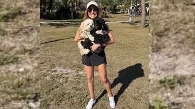 Rainbow Bridge: A Florida woman spent 18 months turning a simple idea into a permanent Rainbow Bridge pet memorial; the community-built space in Fort Myers is now opening for families to leave collars and tags