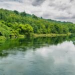 Brazil restored river forests using three seeding methods and planted seedlings; 15 years later, row-seeding stored 155 tonnes of biomass per hectare | World News