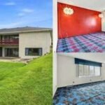 Built in 1975 and barely changed for 51 years, this 4,718-sq-ft shag-carpet Illinois home asked 9,900 and found a buyer within days
