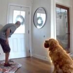 ​An intruder breaks into a San Diego home, but Golden Retriever Nash keeps offering him toys; then police arrive, and the dog has the same plan, all caught on camera