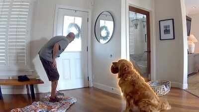 ​An intruder breaks into a San Diego home, but Golden Retriever Nash keeps offering him toys; then police arrive, and the dog has the same plan, all caught on camera