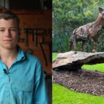 A 14-year-old Australian turns discarded tools into animal sculptures and has sold a scrap-metal wolf for ,000; he is now the youngest artist in a major open-studio event