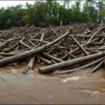 In 1880, Wisconsin’s Chippewa River became a 7-mile wall of logs as 200 million board feet of timber jammed the river before a flood broke it apart | World News