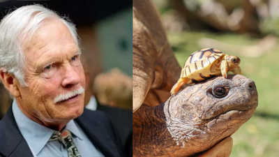 CNN founder Ted Turner’s New Mexico ranch helped save North America’s rarest large tortoise, growing its population from 30 to about 800 | World News