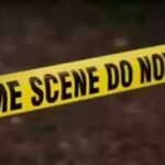 South Africa mass shooting: At least 11 killed by unidentified gunman in Durban