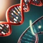 All known life uses 4 DNA letters; UC San Diego showed an existing bacterial enzyme can accurately read and transcribe 8, doubling the genetic alphabet with synthetic letters