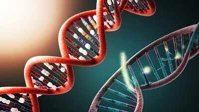 All known life uses 4 DNA letters; UC San Diego showed an existing bacterial enzyme can accurately read and transcribe 8, doubling the genetic alphabet with synthetic letters