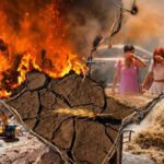 El Niño arrived early. Why its impact was felt from India to the Panama Canal