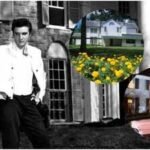 In 1957, Elvis Presley bought this Memphis mansion for 2,500; Graceland became his final home, where he lived until his death in 1977 |