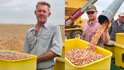 He quit school at 12 to bag peanuts; 22 years later, he runs a Texas farm with organic crops and a 16-acre vineyard﻿ | World News