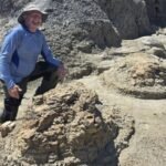 High school teacher searching for fossils discovers four footprints later confirmed as the first reported T. rex trackway dating back 66.5 million years |