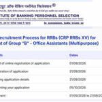 IBPS RRB Clerk Vacancies 2026: 8,183 vacancies, check application dates, eligibility and exam schedule; check direct link here