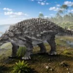 Japan’s first named ankylosaur, Nipponopelta yezoensis, was more closely related to North American and European nodosaurids 96-94 million years ago﻿ | World News