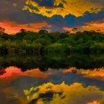 In 1927, Henry Ford took over a stretch of the Amazon rainforest to build an American town inside it; in 1945 he was forced to sell it for 0,000
