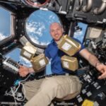 In 1984, NASA sent 12.5 million tomato seeds to space; in 1990 they had to be brought back to Earth and were planted across 40,000 schools in 40 countries