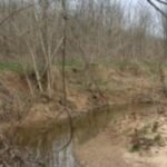 In 1995, an Illinois recreation manager bought 100 acres near a major lake; decades later, his conservation work is protecting a creek that supplies drinking water to about 30,000 people