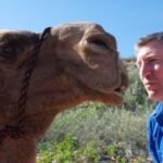 In 1998, David Mason walked 5,500 km across Australia with three camels; 236 days later, he reached the coast and won Adventurer of the Year﻿ | World News