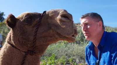 In 1998, David Mason walked 5,500 km across Australia with three camels; 236 days later, he reached the coast and won Adventurer of the Year﻿ | World News
