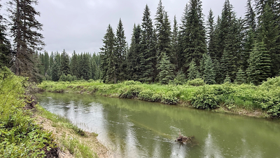 In 2003, a Montana family bought 57 acres along the Stillwater River; after cameras documented bears, wolves and mountain lions, they have permanently protected the property from development