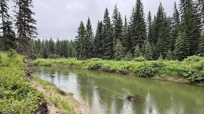 In 2003, Sean and Melodye Rooney bought Montana land beside the Stillwater River; 23 years later, their 57-acre property with nearly a mile of river frontage became permanently protected from development