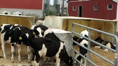 In 2011, a Massachusetts dairy installed the state’s first agricultural digester; by 2020, manure and food waste were saving it $155,000 a year on heat, fertiliser, and bedding