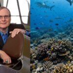 In 2015, Paul Allen launched a global shark survey across 58 countries; cameras later found sharks missing from nearly 20% of reefs | World News